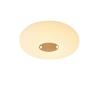 Modern Japanese Wood Grain Bedroom Ceiling Lamp
