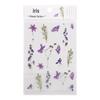 Mr. Paper PET Flower Series Plant Stickers for Journaling - Irregular Shape Decor, 6 Styles
