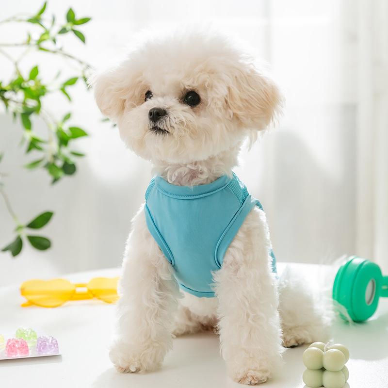 Spring and Summer Dog Dopamine Candy Color Two Feet Cool Vest Medium and Small Dog Cat Teddy Pet Dog Clothes