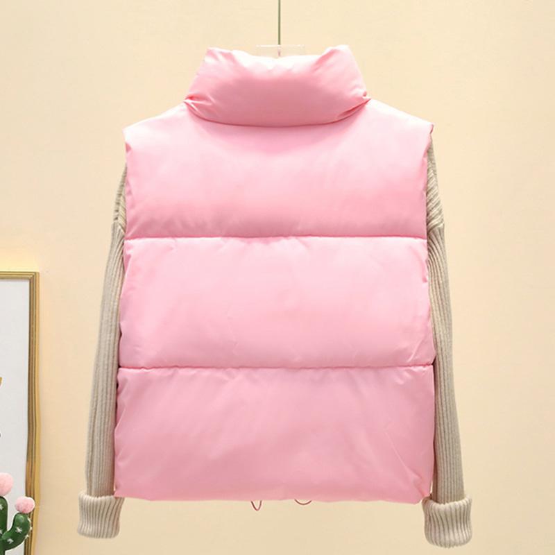 Γυναικείο Κοντό Αμάνικο Μπουφάν Πουπουλένιο Ελαφρύ Αμάνικο Ζεστό Γιλέκο Κυρίες Χειμώνας Όρθιος Γιακάς Γέμισμα Γιλέκο