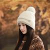 Fashion Knitted Warm Hat Winter Women's Fleece Ear Pads Wool Hat Outdoor Sports Hat