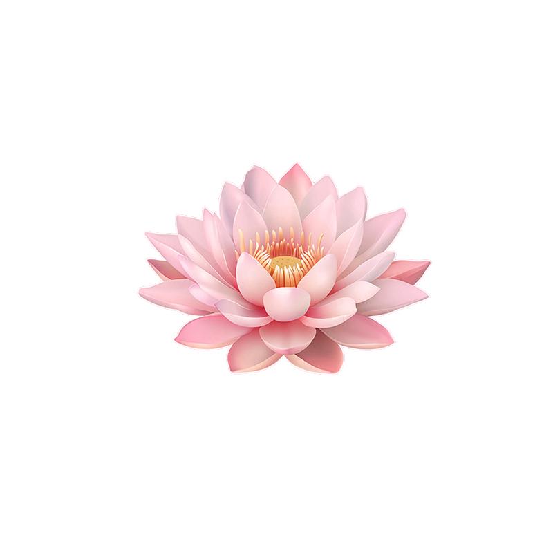 

PVC Waterproof Home Decoration Bathroom Luminous Lotus Toilet Seat Cover Sticker Wall Decal Self-Adhesive