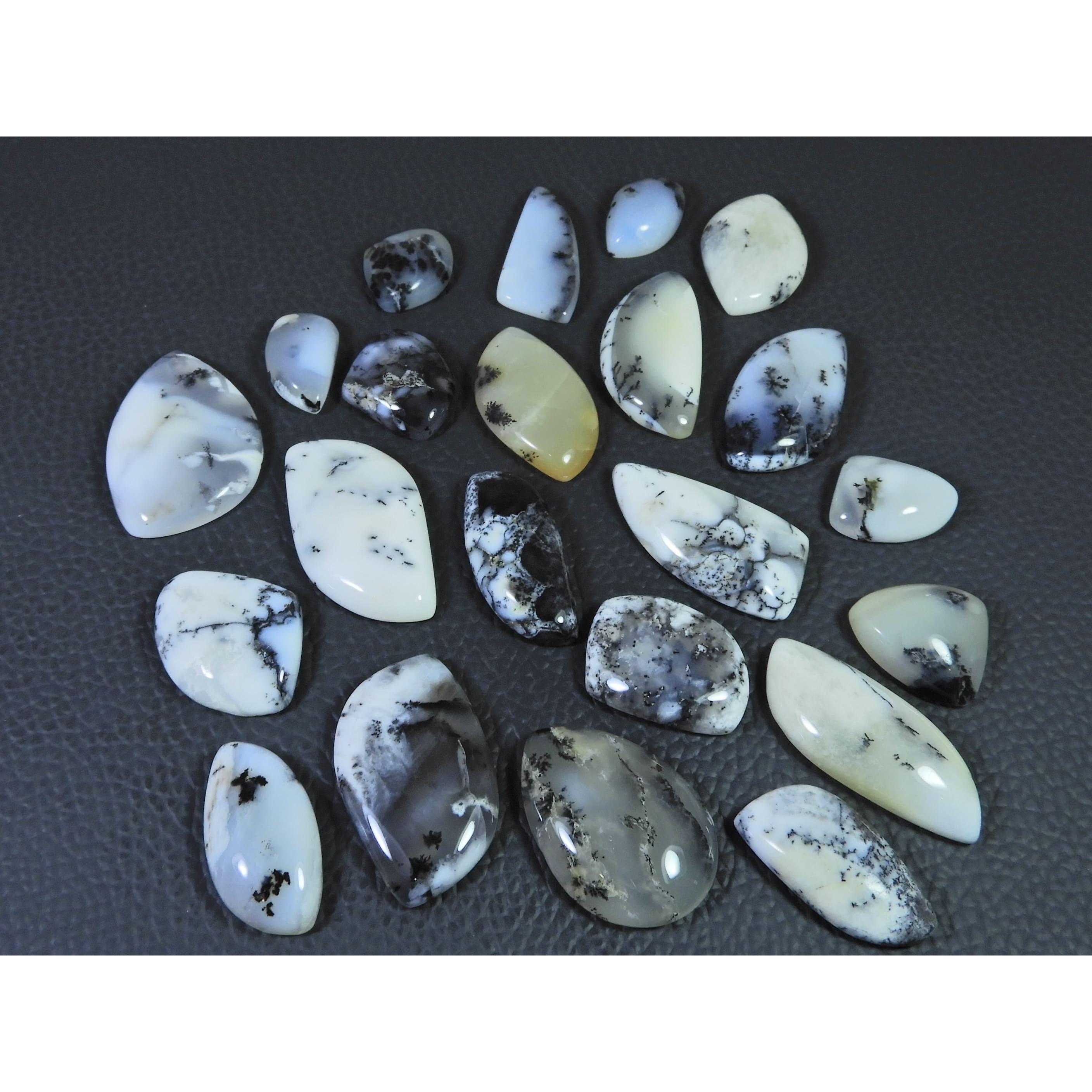 316Cts. Natural Dendrite Opal Agate Fancy Cabochon Loose Gemstone 22Pcs Lot C-1986