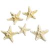 Fish Tank Starfish Decor Unique Beautiful Starfish Ornament Set for Home Aquarium DIY Photo Frame Wind Chime Type 1
