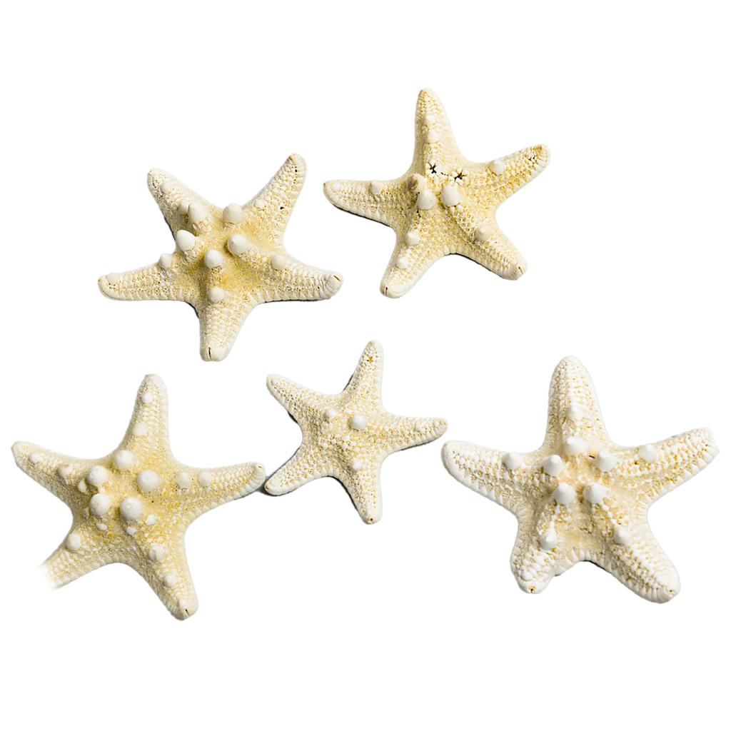 Fish Tank Starfish Decor Unique Beautiful Starfish Ornament Set for Home Aquarium DIY Photo Frame Wind Chime Type 1