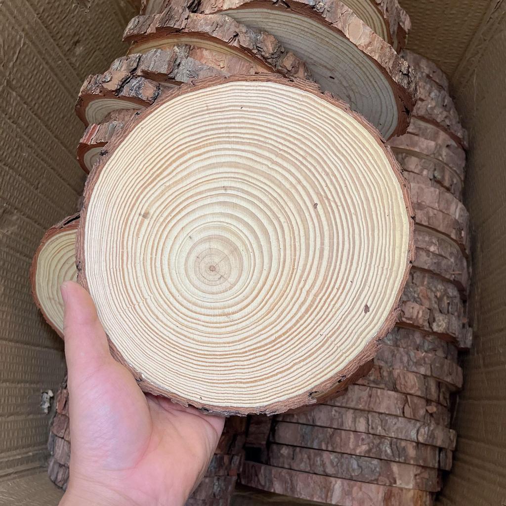 DIY Hand-Painted Wooden Slices for Crafts and Kindergarten Decor – Small Natural Wood Pieces with Growth Rings