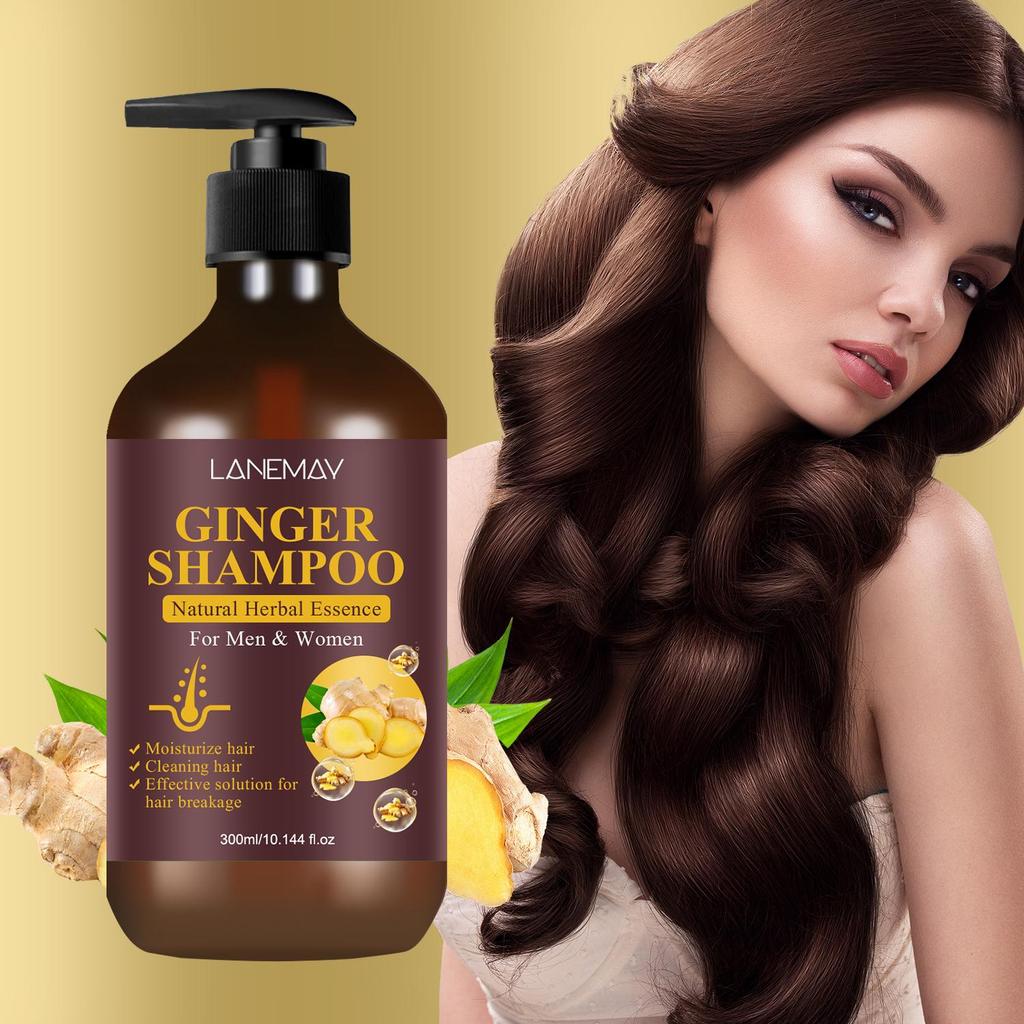 Shampoing au gingembre : nettoie et hydrate efficacement les cheveux, renforce et nourrit les cheveux, réduit les pointes fourchues et la casse, 300 ml