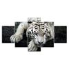 White Tiger Face Wildlife Animal 5 Piece Five Panel Wall Canvas Print Modern Poster Picture Home Decor Gift For Him For Her