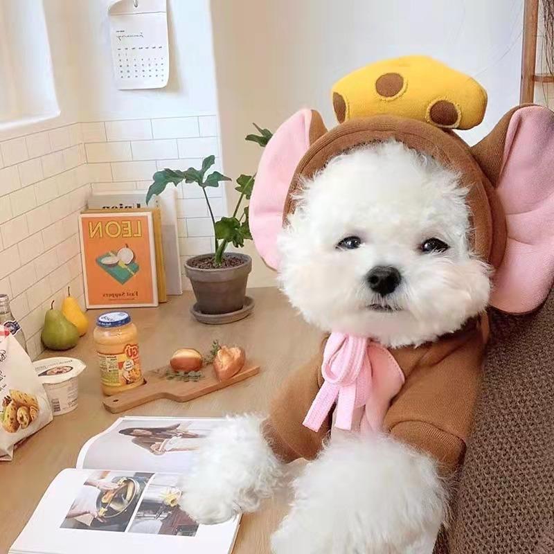 Dog Clothes Transform Into Dog and Cat Clothes Small and Medium-sized Dog Autumn and Winter Pets Teddy Dog Fighting Cat Clothing