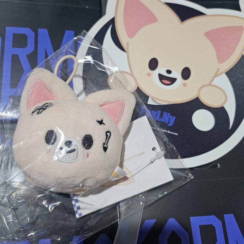 [USED] I.N Stray Kids KARMA Pop-up Name Tag Bonus Fan