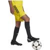 Pantaloncini Casual Uomo Giallo Moderato Ib8085