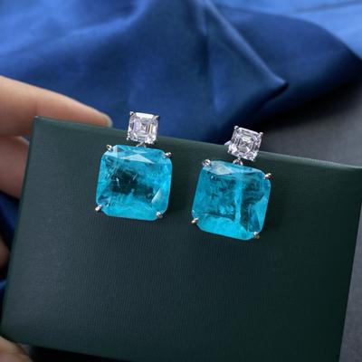 Wind Girl Earrings Simple Low Key Luxury All Matching Earrings Hot Paraiba Earrings