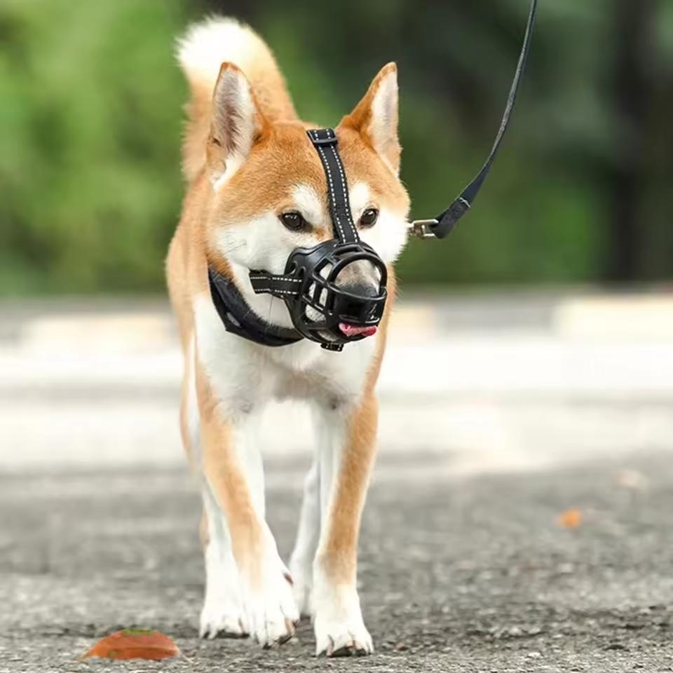 Dog Mouth Cover Dog Comfy Breathable Basket Muzzle Guard Anti-Biting People Barking Breathable Silicone Dog Mask Dogs Supplies