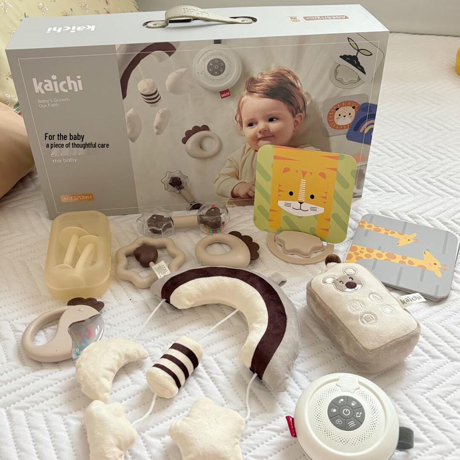 Newborn Gift: Baby Rattle & Soothing Music Set with Educational Cards and Cute Shapes