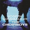 The Choirboys by Joseph Wambaugh Paperback Book 9780752882581