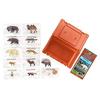 Colorata Zoological Region 3 Figure 3D Encyclopedia (Old Northern and New Northern Region Animals / 12 Types / with Explanation Booklet) Realistic Fig