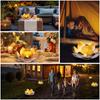 Solar Lights Outdoor Garden, Crackle Globe Glass Lotus Decoration, Waterproof LED Metal Flower Lights