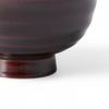 Lacquerware Rice Dishwasher Made In Japan J-kitchens Bowl, Wooden, Hand-Painted, Safe, PID-528503,