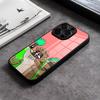 Cartoon Regulars Show Phone Case For IPhone 17 15 Pro Max 12 16 14 Plus 11 13 Pro X XR XS 7 8 Plus SE Glass Cover