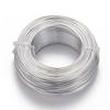 Anodized Aluminum Wire Bendable Metal Craft Wire Flexible Craft Wire for Beading Jewelry Craft Making Silver 12 Gauge 2.0mm 55m/500g(180.4 Feet/500g)