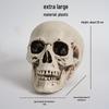 Piccolo Teschio Ornamenti per Halloween per Casa Infestata o Decorazione Bar
