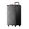 Newmine N520 12-inch Portable Bluetooth Trolley Speaker with Dual Mics CN Plug (adapter Included)