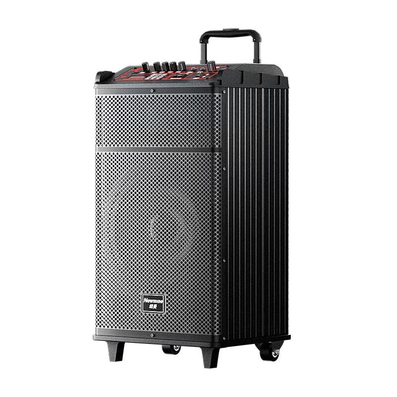Newmine N520 12-inch Portable Bluetooth Trolley Speaker with Dual Mics CN Plug (adapter Included)