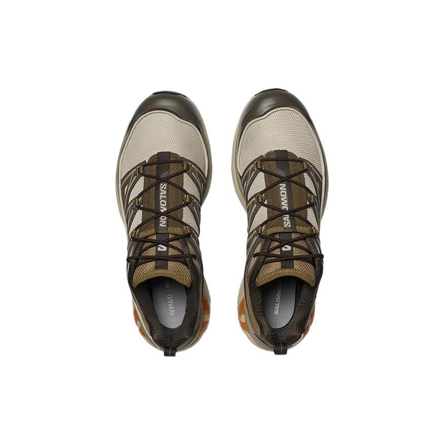 SALOMON XT-6 Expanse 'Feather Grey Golden Oak' 417416