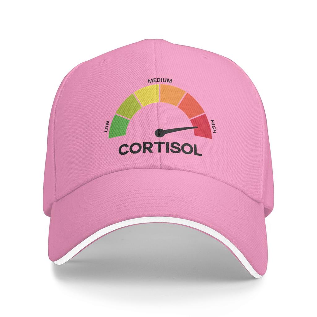 Funny Cortisol High Level Stress Meter Meme Baseball Cap Fashion Couple Hip Hop Hats Hot Sale Print Kpop Rock Baseball Caps Gift
