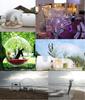 Inflatable Starry Sky Bubble Tent for Weddings, Parties, Malls, and Camping - No Assembly Needed