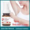Unisex Underarm Odor-Blocking Antiperspirant Deodorant Spray - Refreshing Scent