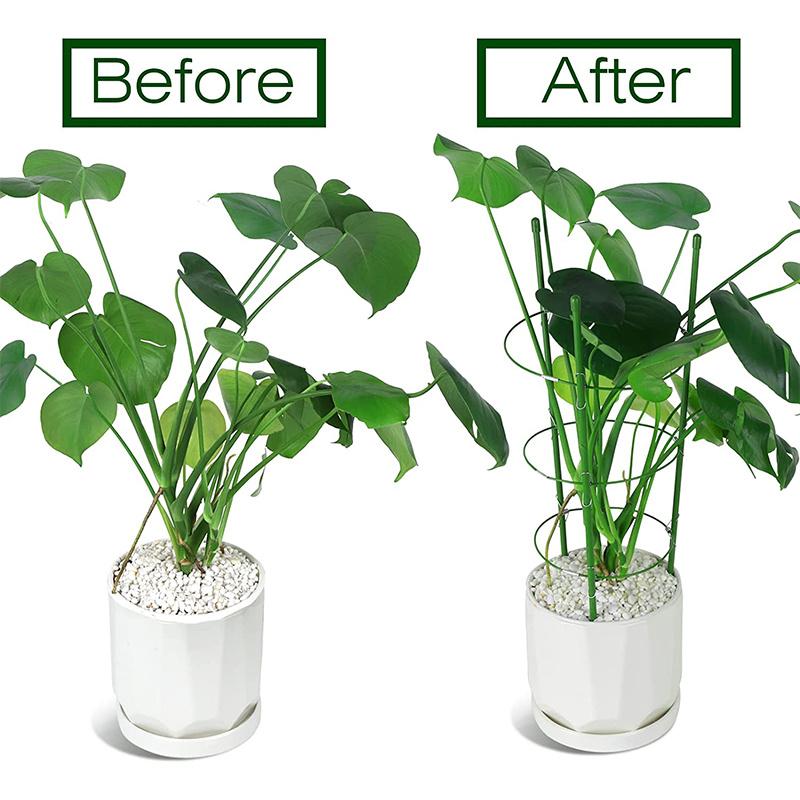 1PC Plant Support Tomato Cages for Garden, Small Tomato Cages and Supports with Adjustable Rings for Garden Pots, Plant Stakes Tomato Trellis Rings