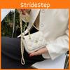 Trendy Small Shoulder Bag For Women Chic 2023 Winter Crossbody Bag With Quilted Pattern