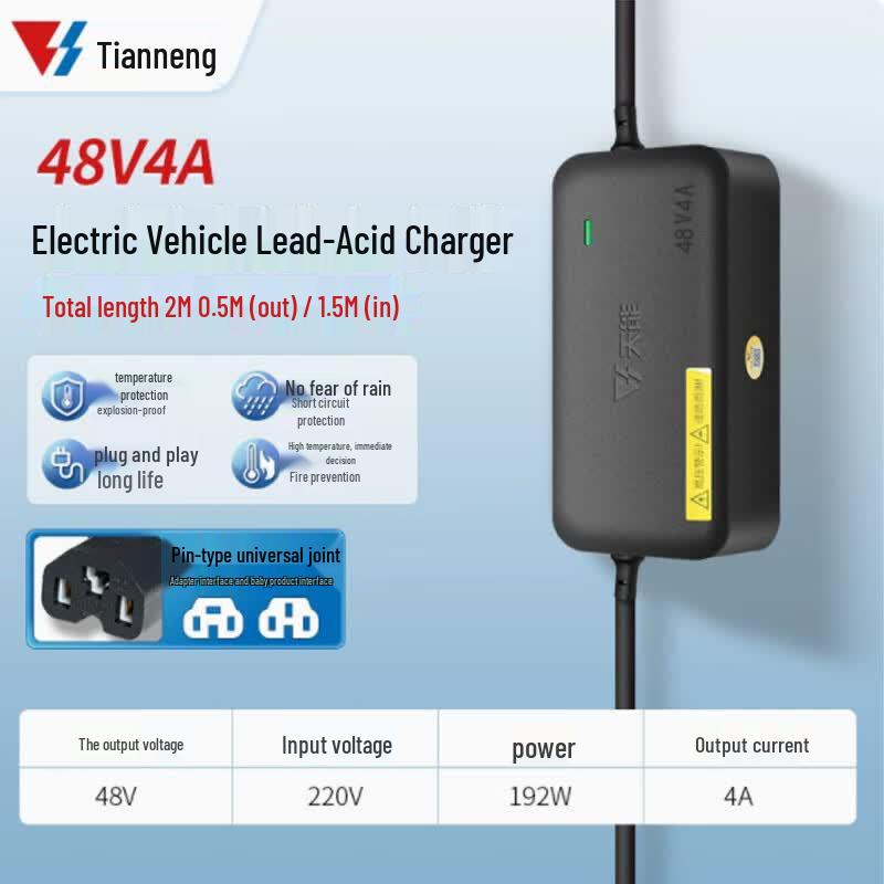 Tianneng 48V 4A Lead-Acid Battery Charger