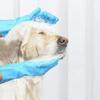 Silicone Pet Grooming Gloves Dog Cat Bath Shampoo Brush Hair Remover Massage Cleaning Scrubber