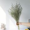 High-End Wabi-Sabi Dried Flower Decor: Natural Reeds & Wheat for Living Room or Homestay.