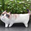 Cotton Cat Printed Throw Pillow Soft and Comfortable Toy Cushion with 3D Eyes Present for Girlfriend Home Decor