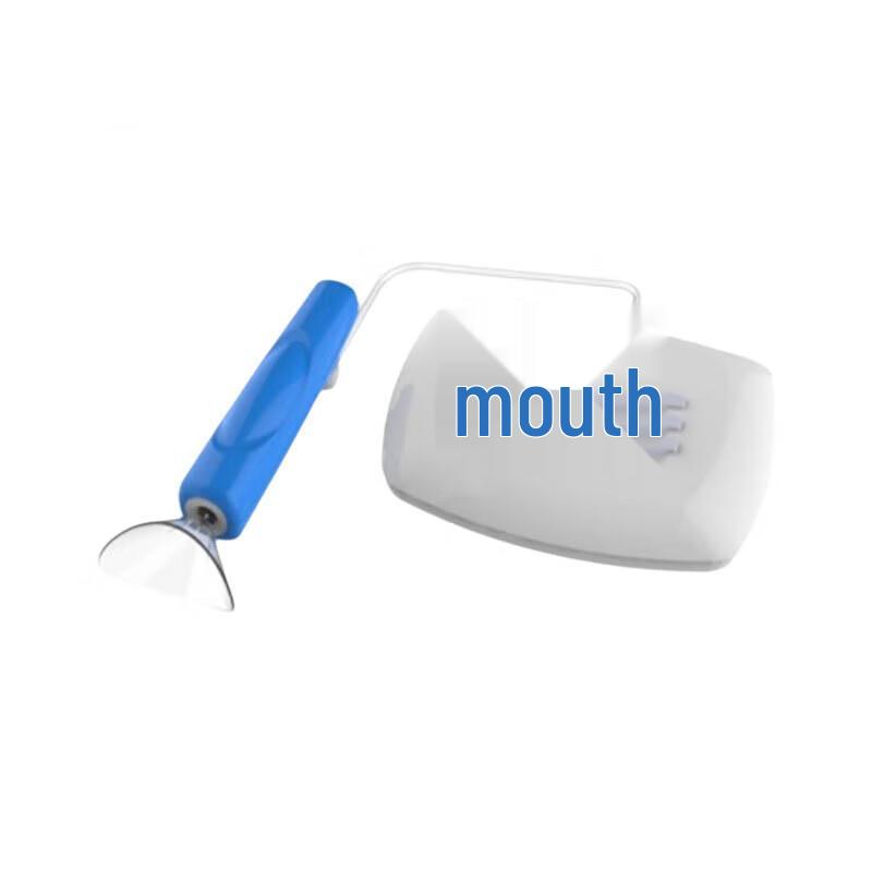 Electronic Lung Capacity Tester