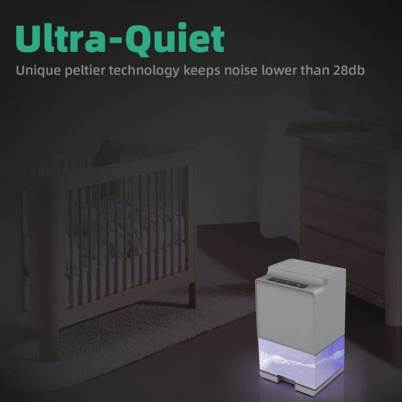 Efficient Room Dehumidifier Portable Dehumidifier Small Dehumidifier with Light ABS Texture for Living Environment