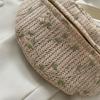 Straw Bag Beach Women Waist Pack Purse Casual Large Belt Bags Pouch Travel Phone Bag Fanny Packs Hip Pockets