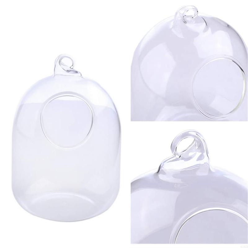 62KD Suspended Transparent Hanging Glass Fish for Tank Bottle Aquarium Flower Plant Vase Flower Vase for Home
