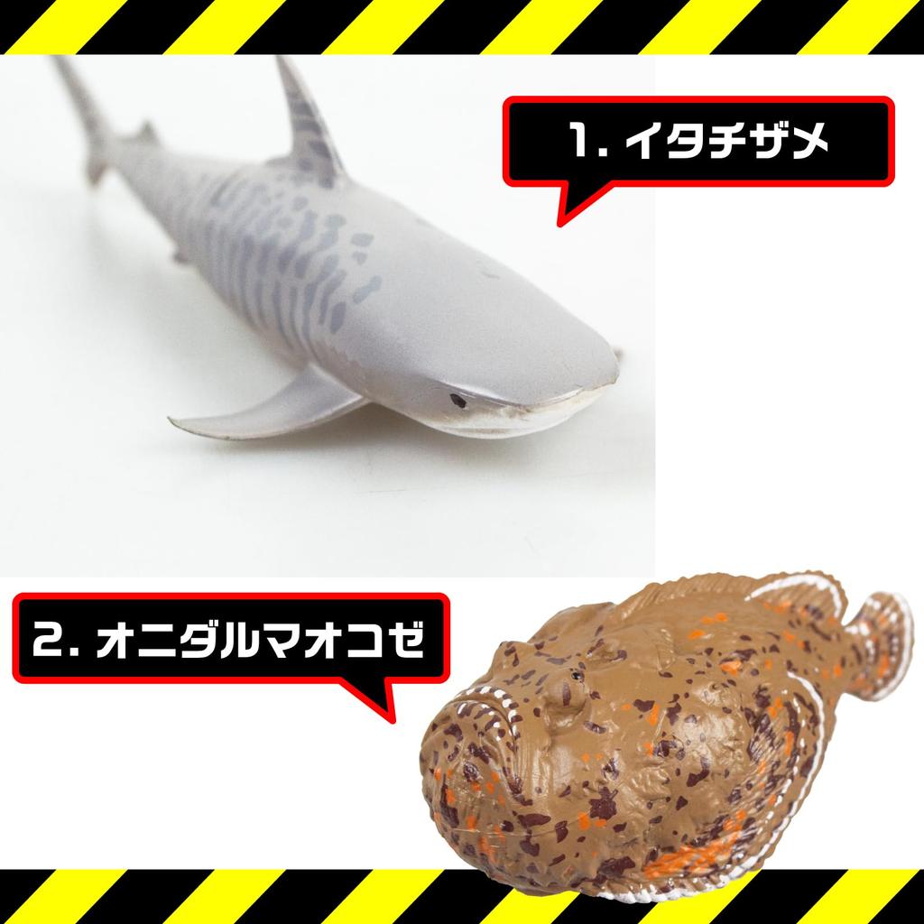 The Access Dangerous Sea 3D Illustrated Aquarium Toys Figures Creatures, Guide, Animals,