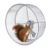 Roue d'Exercice Métallique pour Hamster Antidérapante Silencieuse Jouet Accessoires de Cage pour Hérissons Rats Écureuils Jeu et Course Fournitures pour Animaux de Compagnie