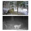 Trail Camera with Solar Panel 50MP 4K High Definition Night Visible 120 degrees  Wide Angle 65ft Detection for Outdoors