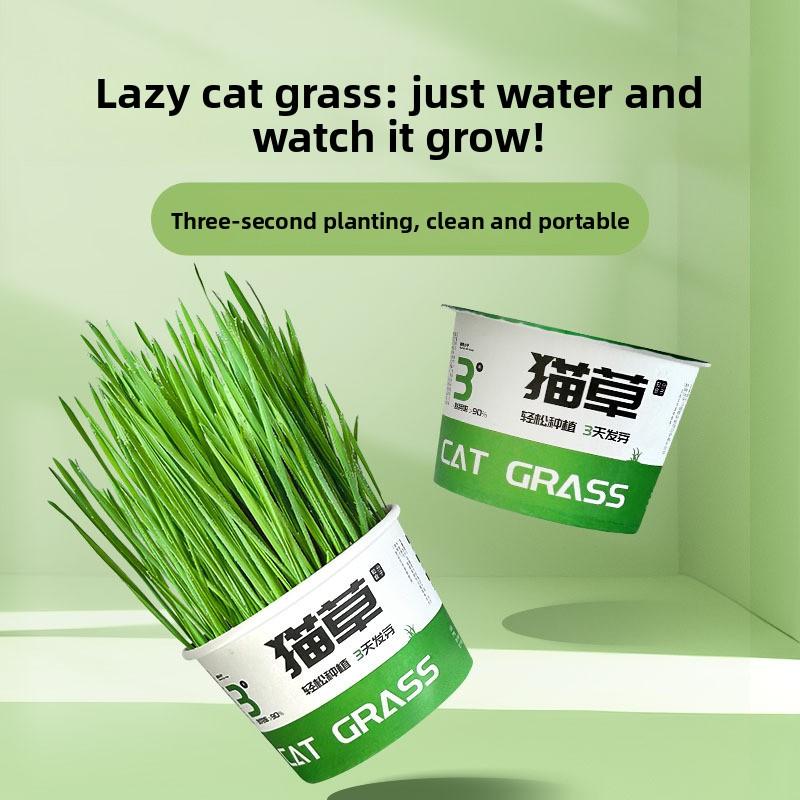 Soil-Free Hairball Relief Digestive Aid Cat Grass Tinned Food