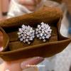 Silver Needle Super Flash Zircon Round Stud Earrings Exquisite and Unique Versatile Earrings Light Luxury High-end Temperament Fashion Earrings Women