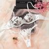 Sweet Lace Embroidered Mesh See-Through Lingerie Set