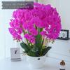 Artificial Phalaenopsis Floral Arrangement for Living Room Display - Potted Decoration for TV Cabinet