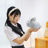 Little Rabbit Plush Toy Cute White Rabbit Doll Children Sleep with Throw Pillow Gift Exchange