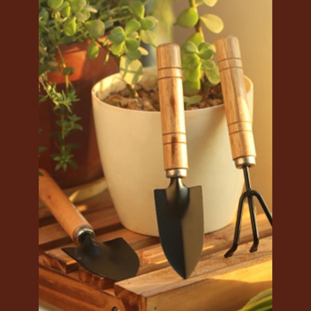 Gartenwerkzeug-Set: 3-teiliges Set für Gemüse, Blumen und Sukkulenten - Enthält kleine Schaufel, Harke und Spaten.
